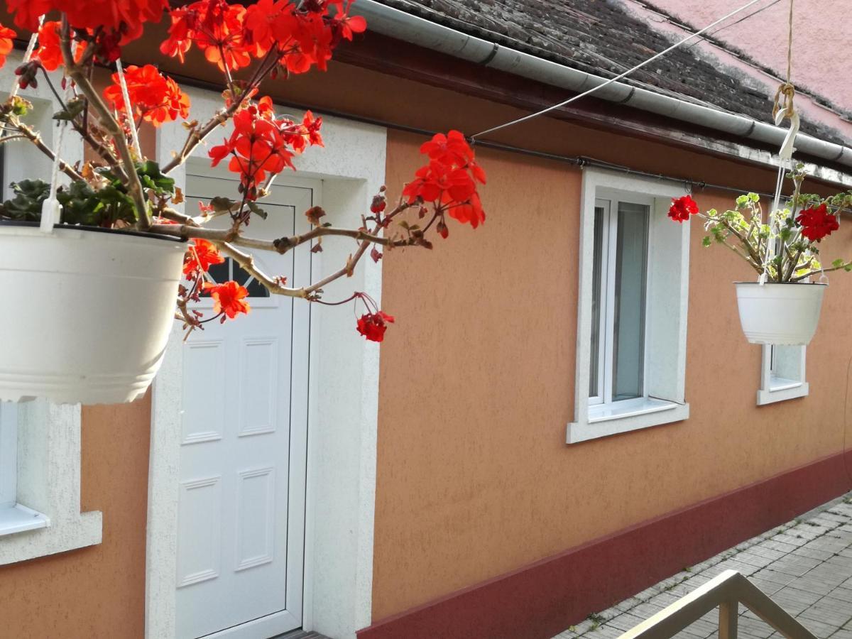 Casa Anastasiei Brasov Exterior photo